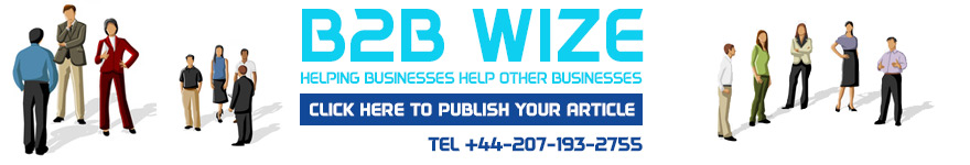 b2bwize.com