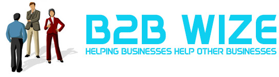 b2bwize.com